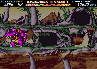 image de The First Funky Fighter